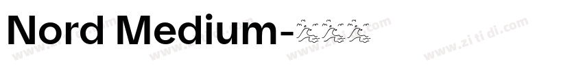 Nord Medium字体转换 Nord Medium字体转换